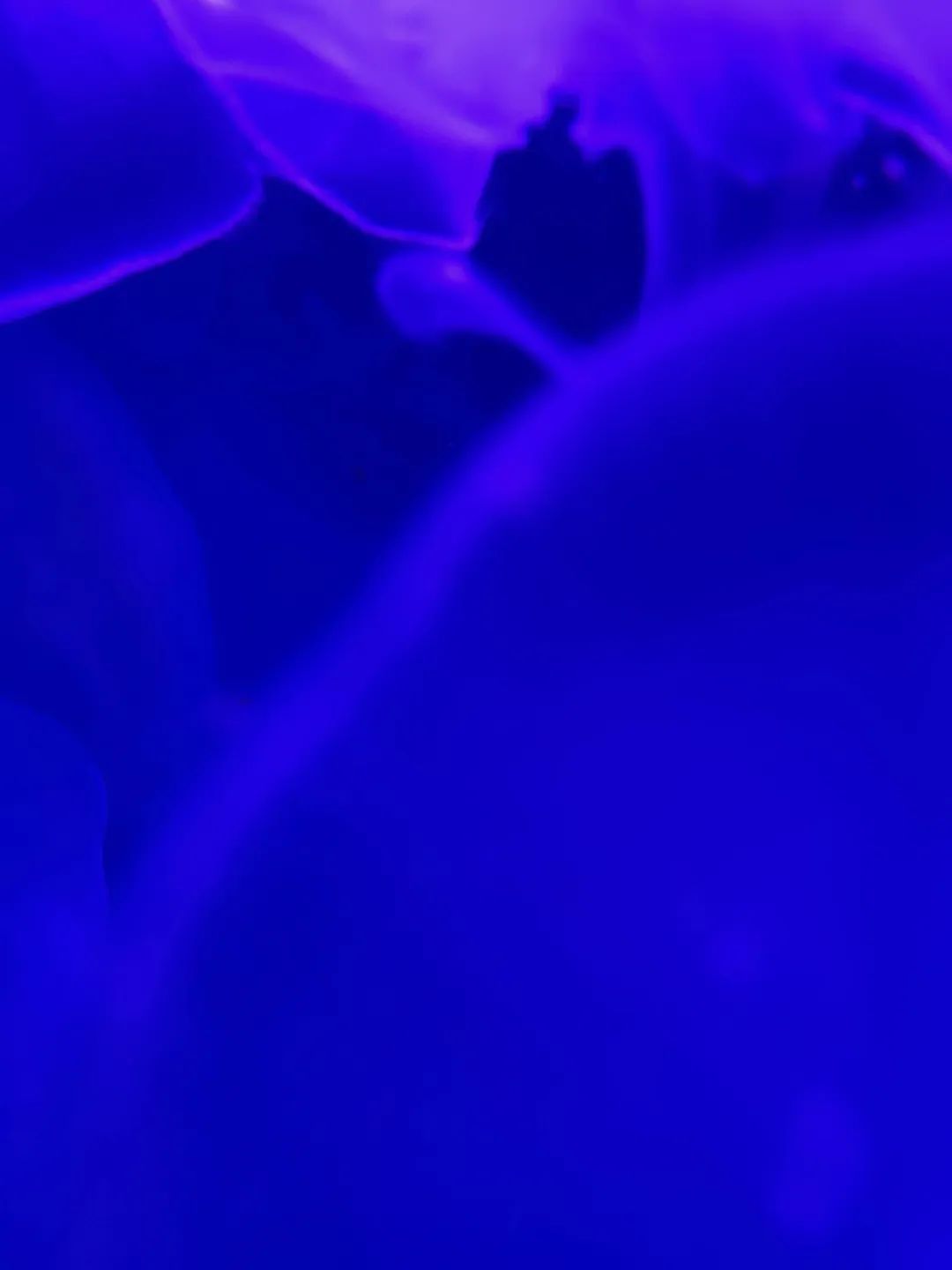 DƬ